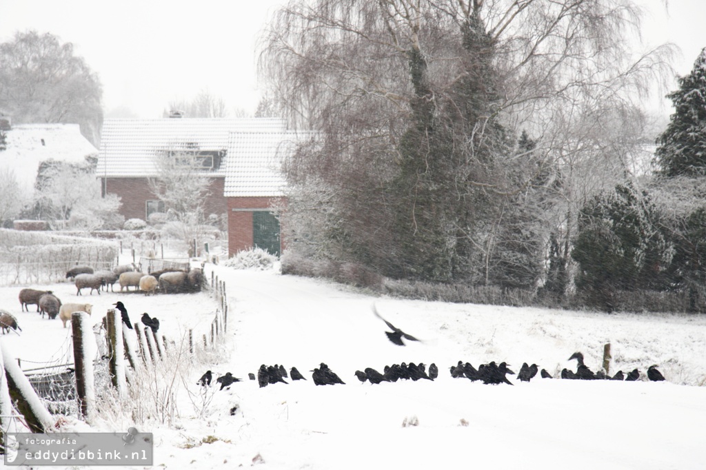 2010-12-17 Sneeuw, Deventer 021